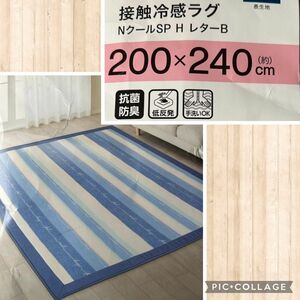 ニトリ NITORI 低反発 接触冷感 ラグマット 抗菌防臭 200×240cm ポイント クーポン消化