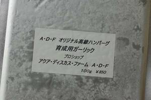 【ＡＤＦ】★オリジナル ハンバーグ　10枚セット a330