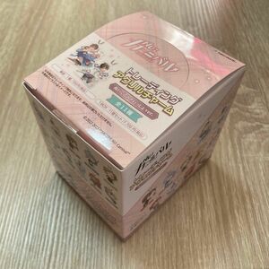 NU: Carnival カーニバル　トレーディングアクリルチャーム　ぬいぐるみといっしょver. BOX