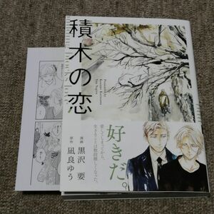 積木の恋 凪良ゆう 黒沢要 コミック 漫画 ペーパー付