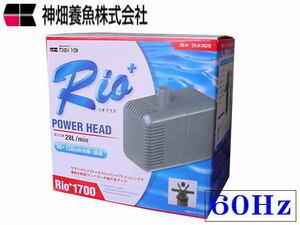 kami is ta rio plus Rio+1700 60Hz west day main specification submerged pump control 60