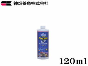 【レターパック発送】カミハタ カリブシー パープルアップ120ml　海水用添加剤 石灰藻 珊瑚 サンゴ ライブロック　管理LP3