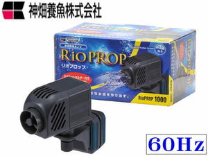 kami is tali OP rop1000 60Hz water . pump maximum .. amount every minute 20L large water . control 60