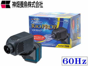 kami is tali OP rop2000 60Hz water . pump maximum .. amount every minute 33L large water . control 60