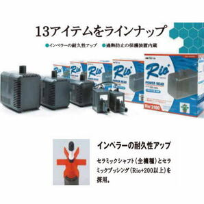 カミハタ リオプラス Rio+2500 50Hz 東日本仕様 水中ポンプ 管理60の画像4