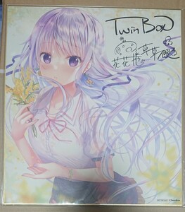 オリジナル 色紙 美少女 複製サイン 色紙 限定 特典 twinbox 花花捲＆草草饅 イラストカード