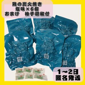 【4月までおまけ有！】匿名発送！鳥の炭火焼き　塩味　100g×6袋　鶏の炭火焼