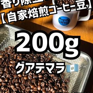 【匿名配送】自家焙煎コーヒー豆　グアテマラSHB(ガテマラ) 　約20杯分/200g(珈琲豆or粉)