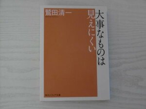 [GY1607] 大事なものは見えにくい 鷲田清一 平成31年1月15日 12版発行 KADOKAWA