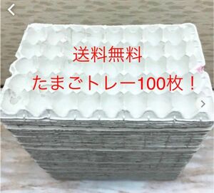 使い方いろいろ！たまご紙トレー100枚！送料無料！防音 防寒 地震 引越し