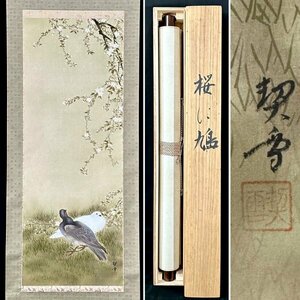 【真作】杉浦契雪「桜に鳩」掛軸 絹本 花鳥図 鳥獣 日本画 日本美術 大正昭和時代の日本画家 岐阜の人 共箱 ｈ030624