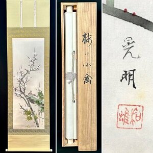 【真作】阿部晃明「梅に小禽」掛軸 絹本 花鳥図 鳥獣 日本画 日本美術 白梅 雀 共箱 証明書付き ｈ032123