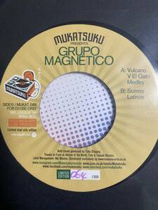 GRUPO MAGNETICO / Vulcano V El Gato 7インチ　レコード　極美品　限定300 mukatsuku AARON LEVINSON