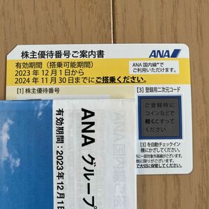 ANA☆株主優待券☆搭乗可能期間2024年11月30日まで☆全日空