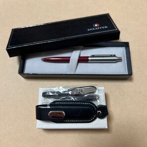 SHEAFFER ボールペン USBメモリ メモリーカード 万年筆 文房具 筆記用具 セット