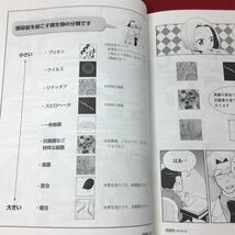 c-445 ※4 マンガで学ぶ感染症 著者 岩田健太郎 2010年6月1日 1版2刷発行 中外医学社 漫画 学習 医学 感染症 図解 肺炎 尿路感染 髄膜炎_画像8