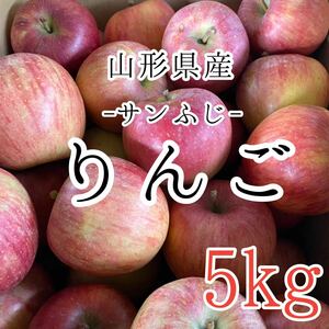 1サンふじりんご 5kg 2580円 山形県産 訳あり家庭用