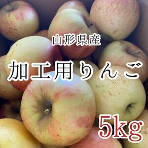 1加工用サンふじりんご 5kg 1280円 山形県産 訳あり家庭用