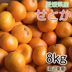 1せとか 8kg 3599円 愛媛県産 訳あり家庭用 柑橘