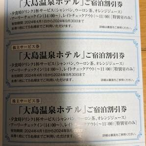 【東海汽船株主乗船割引券2024.4.1～2024.9.30まで10枚セット、おまけ付】の画像4