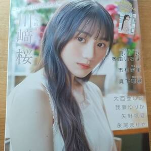 プラチナ フラッシュ vol.22 2023.5 中古品クリアファイル付き 川﨑桜 永尾まりや 我妻ゆりか 小川彩 奥田いろは 真下華穂