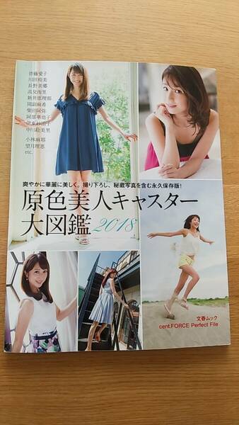 原色美人キャスター大図鑑　　2018 中古品　皆藤愛子　川田裕美　新井恵理那　小林麻耶　岡副麻希　