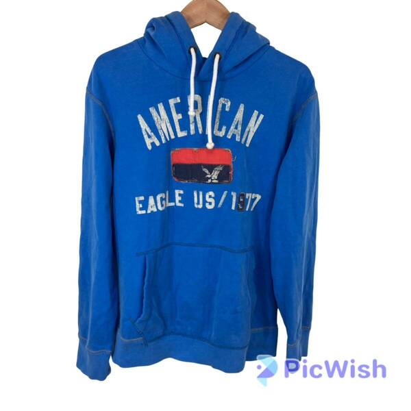 American Eagle アメリカンイーグル　men's パーカー　トップス　被り　used size:M collar:BLU ブルー