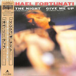 A00581447/12インチ/マイケル・フォーチュナティ(MICHAEL FORTUNATI)「Into The Night / Give Me Up (1987年・ALI-13003・イタロディスコ