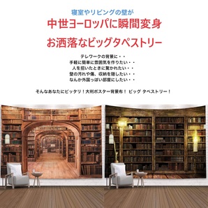 新品 ビッグ タペストリー 壁掛け 本棚 リアルプリント 大判 布ポスター 図書館 おしゃれ 背景布 リアル 絵画 模様替え 引っ越し 目隠し520の画像3