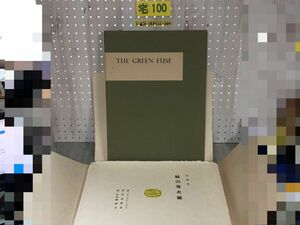 3-▲詩画集 緑の導火線 THE GREEN FUSE 日和崎尊夫 木口木版全10枚 日本語版限定壱百部の内第J・49番 J49/100 昭和57年7月31日 1982年