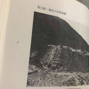 3-#全5巻 まとめ 鹿角市史 1982~1997年 函入 秋田県 シミ・よごれ有 歴史 東北 商業の発展 信仰と文化 農村の生活 美術 文芸 盛岡藩の画像8