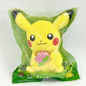 未使用 ポケモン わくわくゲットくじ E賞 ピカチュウ ぬいぐるみ ドール 2014 非売品 景品 草むら探検隊！