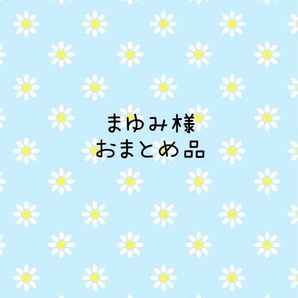 まゆみ様おまとめ品