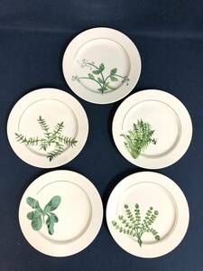 Villeroy&Boch Depuis 1748 Sarade VITRO Porcelaine ビレロイ＆ボッホ サラダプレート 5枚 植物 ルクセンブルク 中古 保管品 現状品