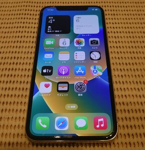 Apple純正iPhoneX用フロントパネル/液晶パネル動作確認済み1円スタート送料無料ジャンク品扱いiPhone X①