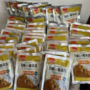 アルファフーズ UAA食品 美味しい防災食 ポークカレー 45食セット