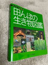 田んぼの生き物図鑑 ヤマケイ情報箱／内山りゅう_画像3