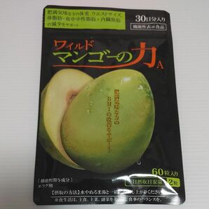 亀山堂 ワイルドマンゴーの力 60粒 機能性表示食品 エラグ酸 ダイエット サプリ