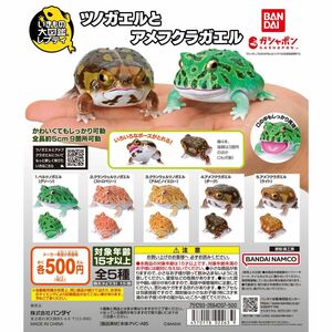 ガシャポン いきもの大図鑑 レプティ ツノガエルとアメフクラガエル 全5種 フルコンプ