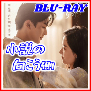 【BC】373. 小説の向こう側 【中国ドラマ】 Blu-ray 「enjoy」 2 枚 