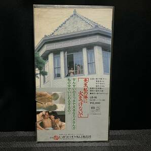 ■ 先生、私の体に火をつけないで ■ 東千恵 真堂ありさ 竹下ゆかり 織本かおる 中根徹 薔薇かおり 大杉漣 監督・廣木隆一 にっかつの画像4