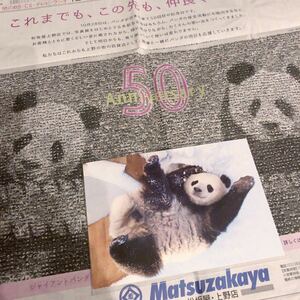 パンダ来日50周年　新聞広告記事　カンカンランラン　廉康　公式ポストカード　上野動物園