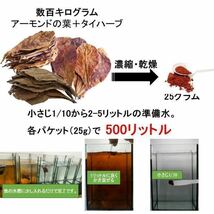 【市場最安値＋お買い得500リットル分】人気ベタ用コンディショナー インドのアーモンドの葉 タイハーブ パウダー 25gr_画像3