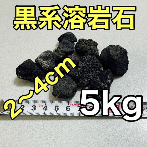 溶岩石 黒系 5kg アクアリウム低床 ろ材 観葉植物 多肉植物 水槽レイアウト 盆栽