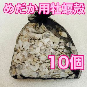 広島県産 牡蠣殻 4〜8mm 80g×10袋 アクアリウム 水質調整