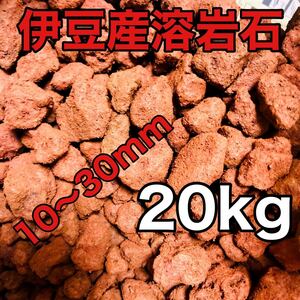 伊豆産 赤色溶岩石 レッドロック スコリア 10〜30mm 20kg