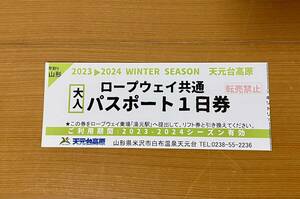 山形県 天元台高原スキー場 ロープウェイ共通 パスポート1日券