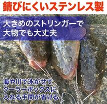 フロートラインシステムセット ストリンガー スピアフィッシング 釣り 魚突き_画像3