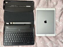 iPad Pro 9.7インチ SIMフリー 32GB ピンク　第１世代_画像1