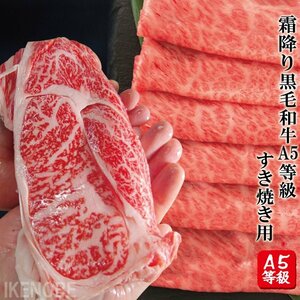 最高級黒毛和牛A5等級霜降りクラシタローススライスすき焼き用500ｇ冷凍　2セット同時購入でさらにお肉増量